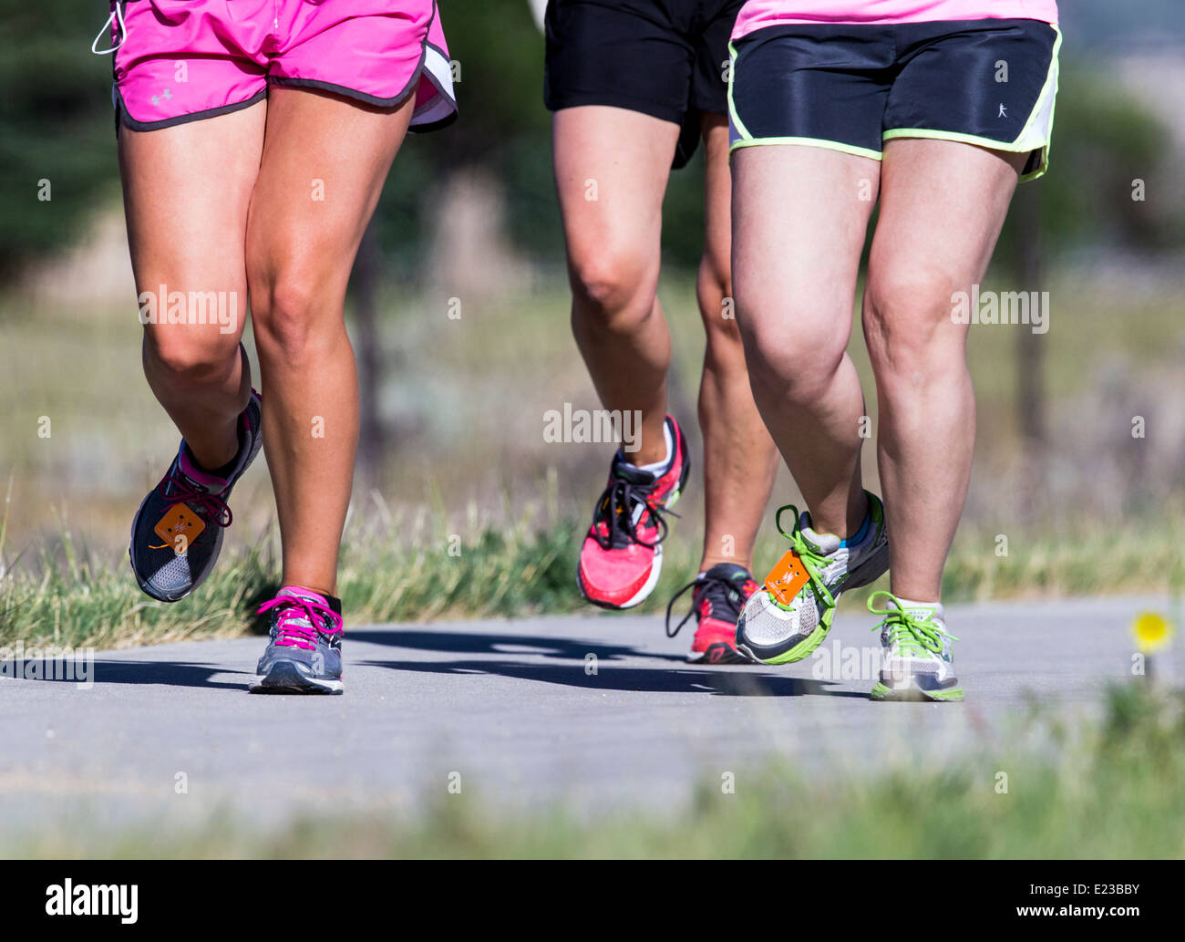 Los corredores en la carrera de 5K y 10K, carreras a pie Fibark festival anual, Salida, Colorado, EE.UU. Foto de stock