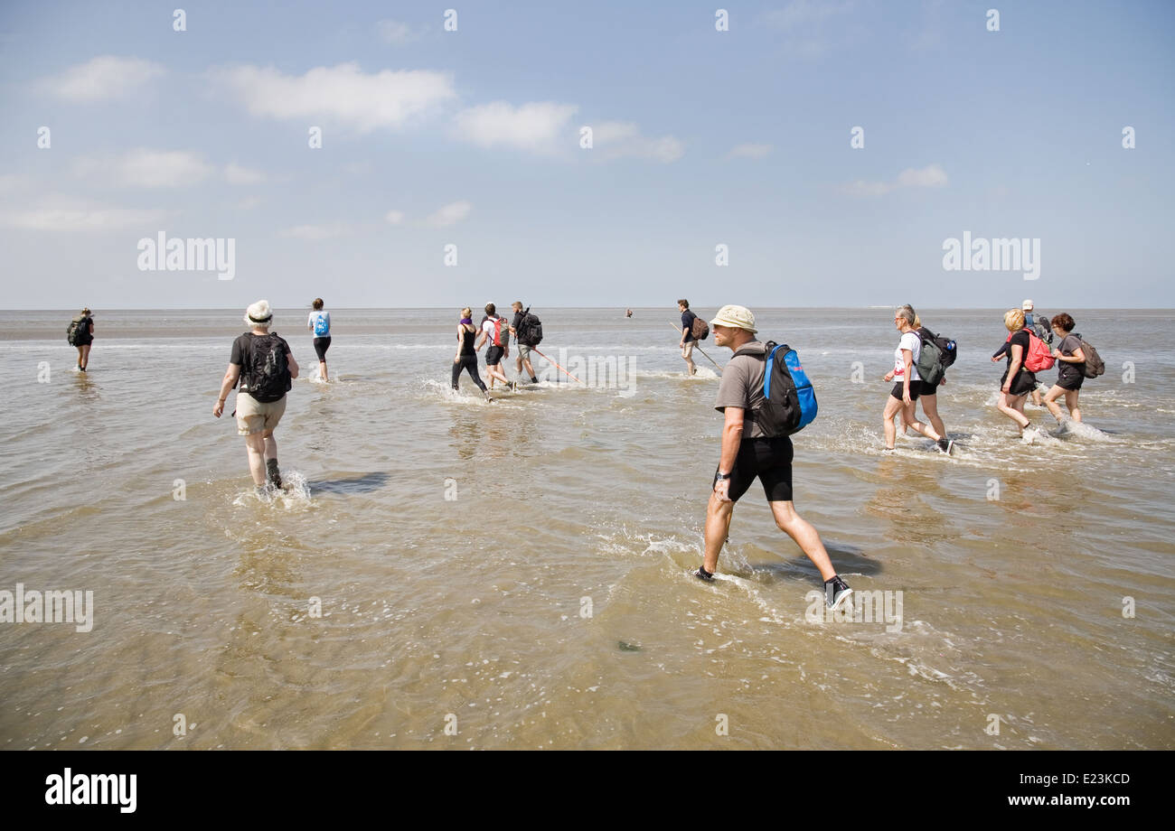 Excursión en marea baja a Rottumeroog llamado 'wadlopen" una popular tradición holandesa. Foto de stock
