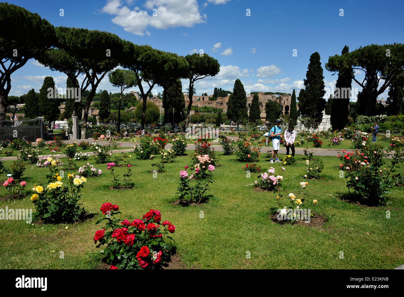 Italia, Roma, Aventine Hill, Roseto Comunale, jardín de rosas municipal Foto de stock