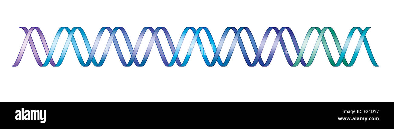 Genética, ADN Foto de stock