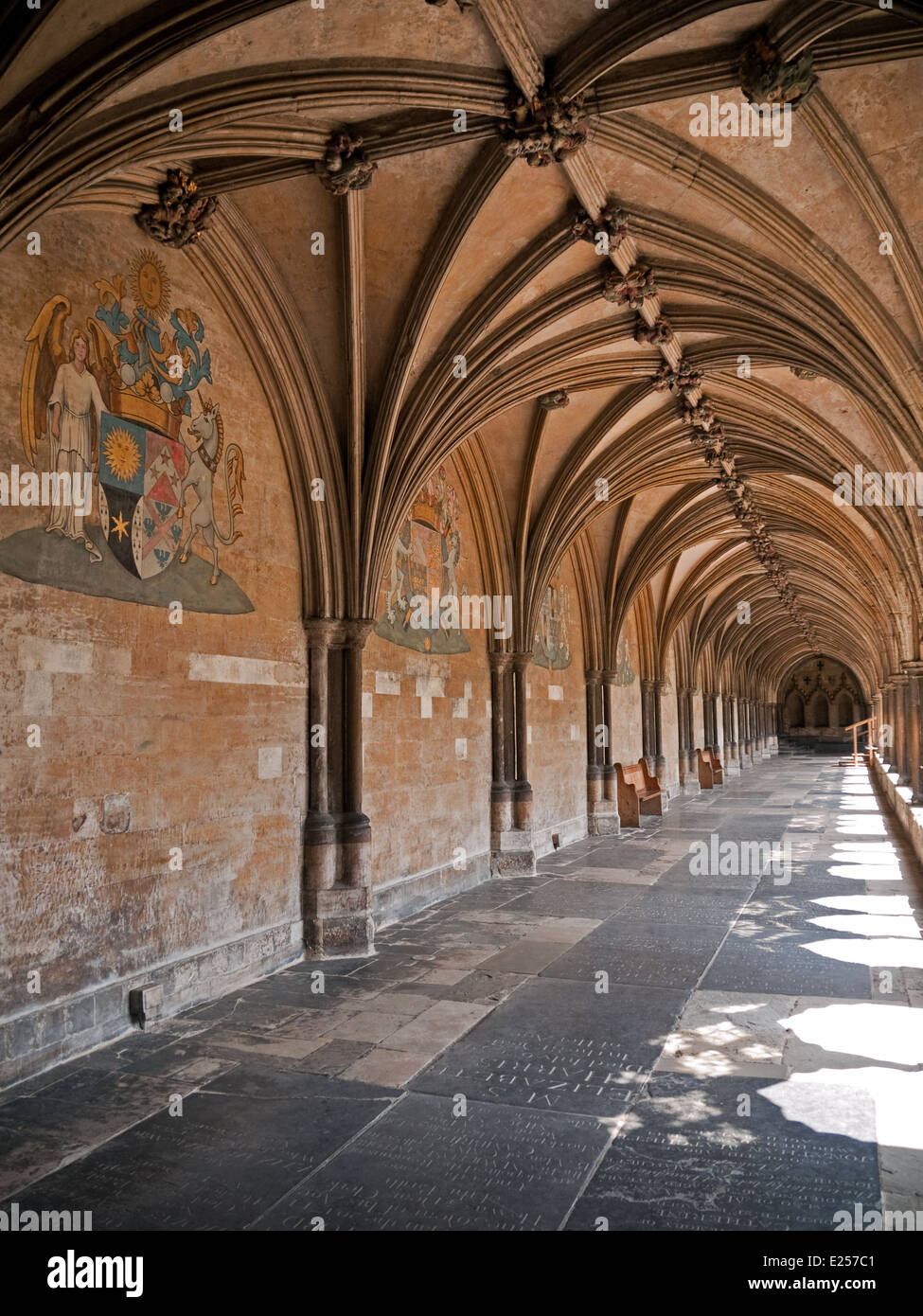 El Claustro monástico más grande de Inglaterra en la catedral de Norwich en Norfolk Foto de stock