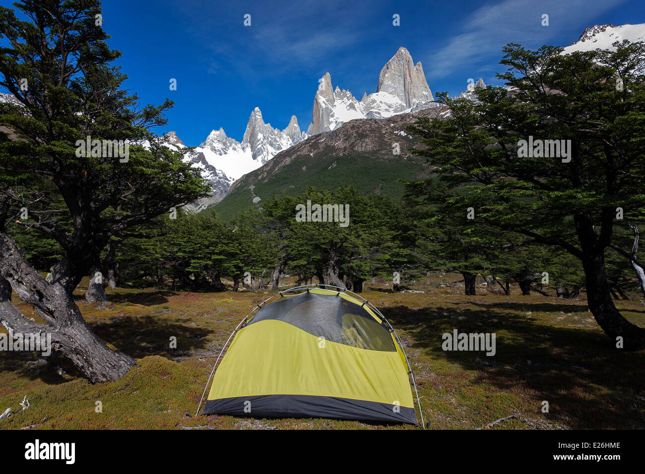 Tienda y el Monte Fitz Roy. Campamento Poincenot. El Chaltén. Parque