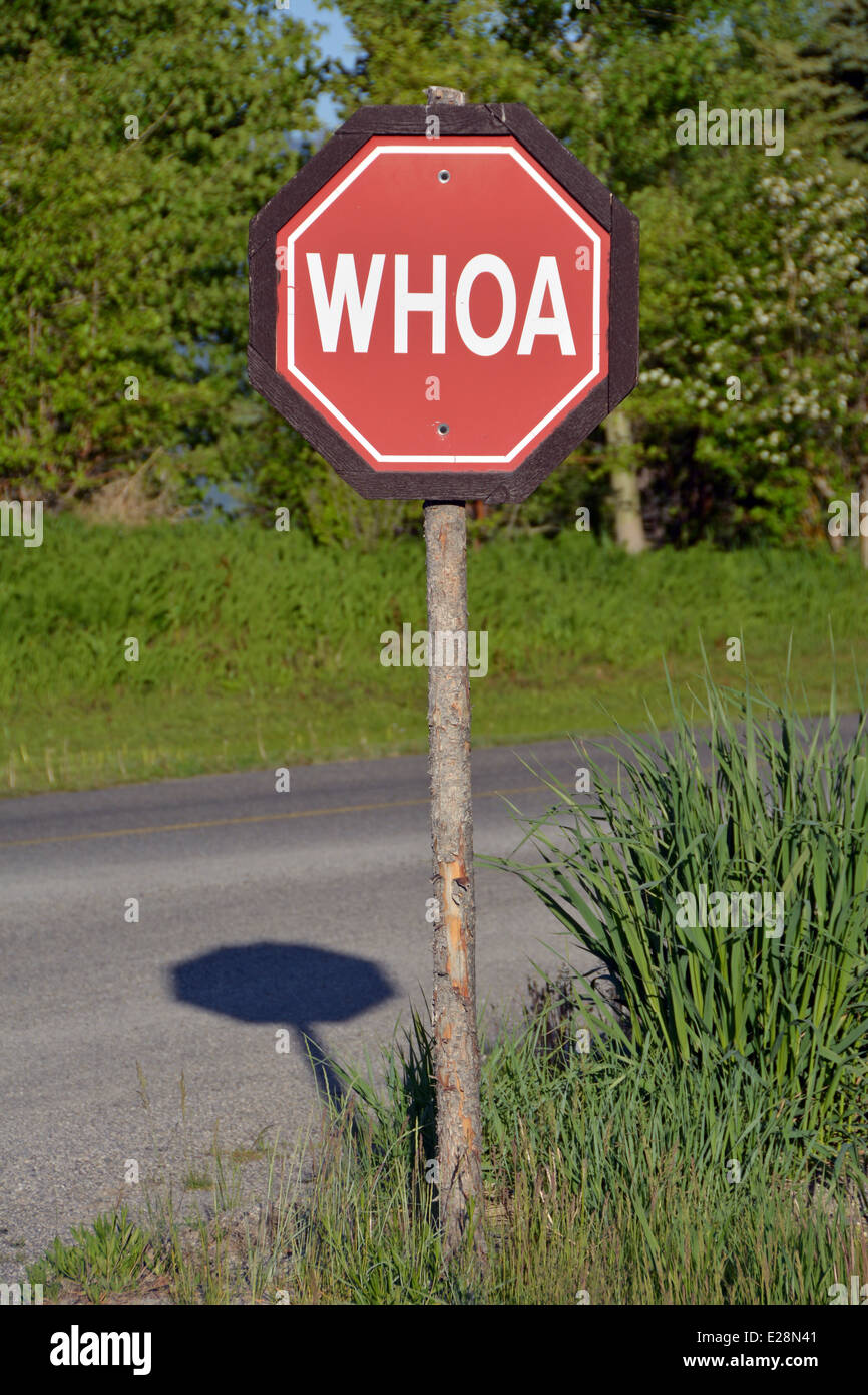 Una de las muchas señales de stop en Jackson Hole, Wyoming que decir Whoa. Foto de stock