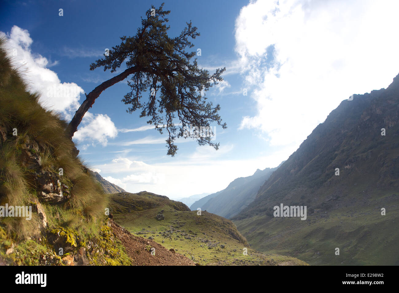 Una vista desde el sendero en el valle de Lares en lo alto de los Andes en Perú Foto de stock
