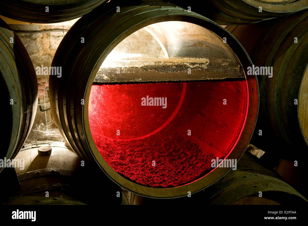 Francia, Jura Arbois, 228 litros barril transparente que permite ver el velo natural formando sobre el vino amarillo que Foto de stock