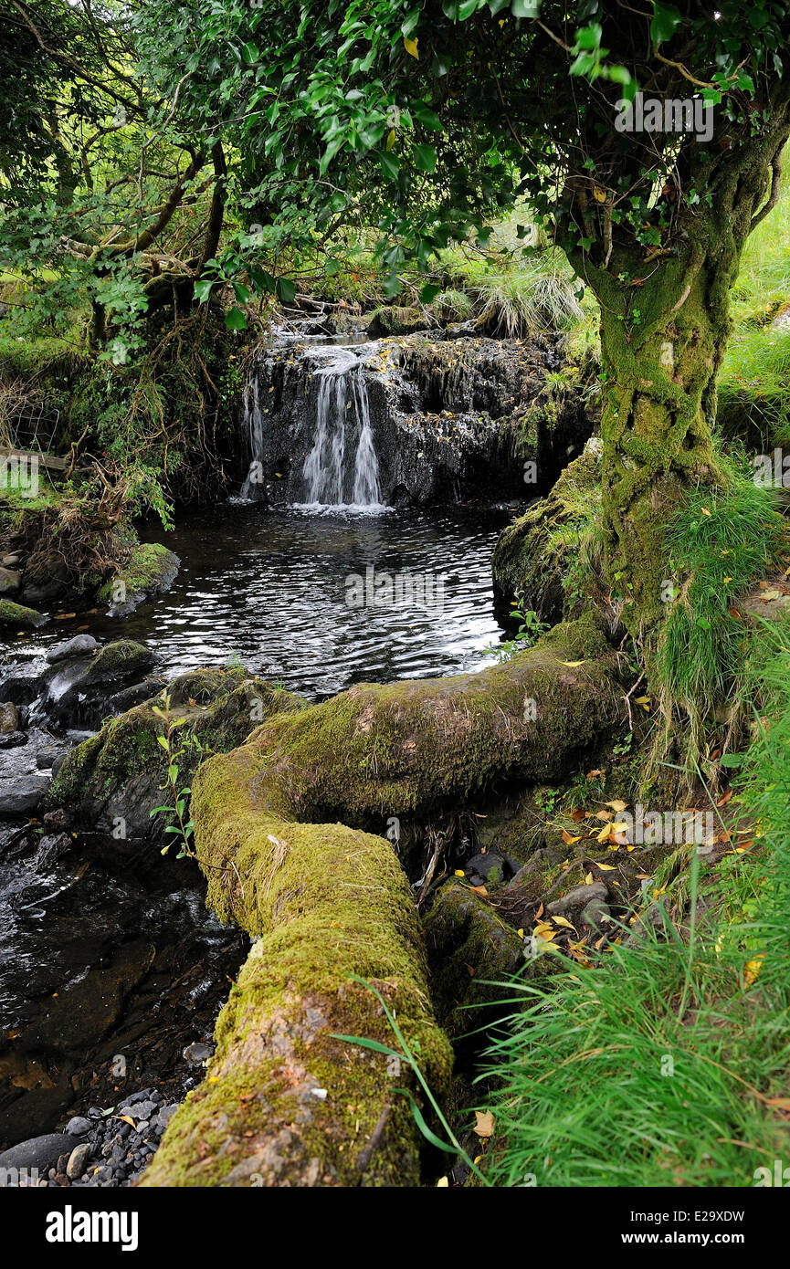 Irlanda, en el condado de Kerry, el anillo de Kerry, Sneem alrededores, cascada cerca de piedra de Staigue fort Foto de stock