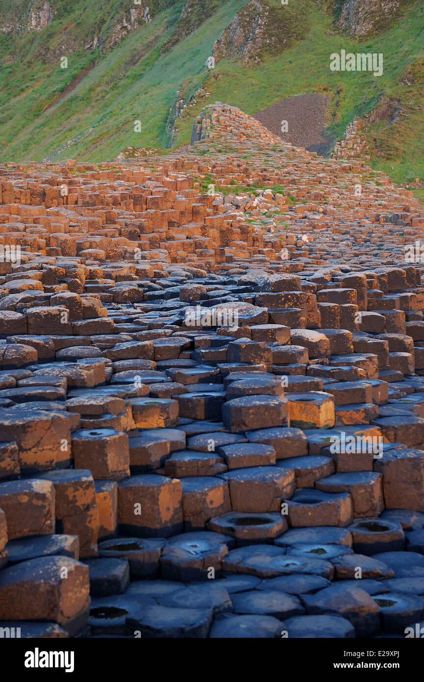 Reino Unido, Irlanda del Norte, en el Condado de Antrim, Antrim, Giant's Causeway cuenta la leyenda que el gigante irlandés Fionn Mac Foto de stock