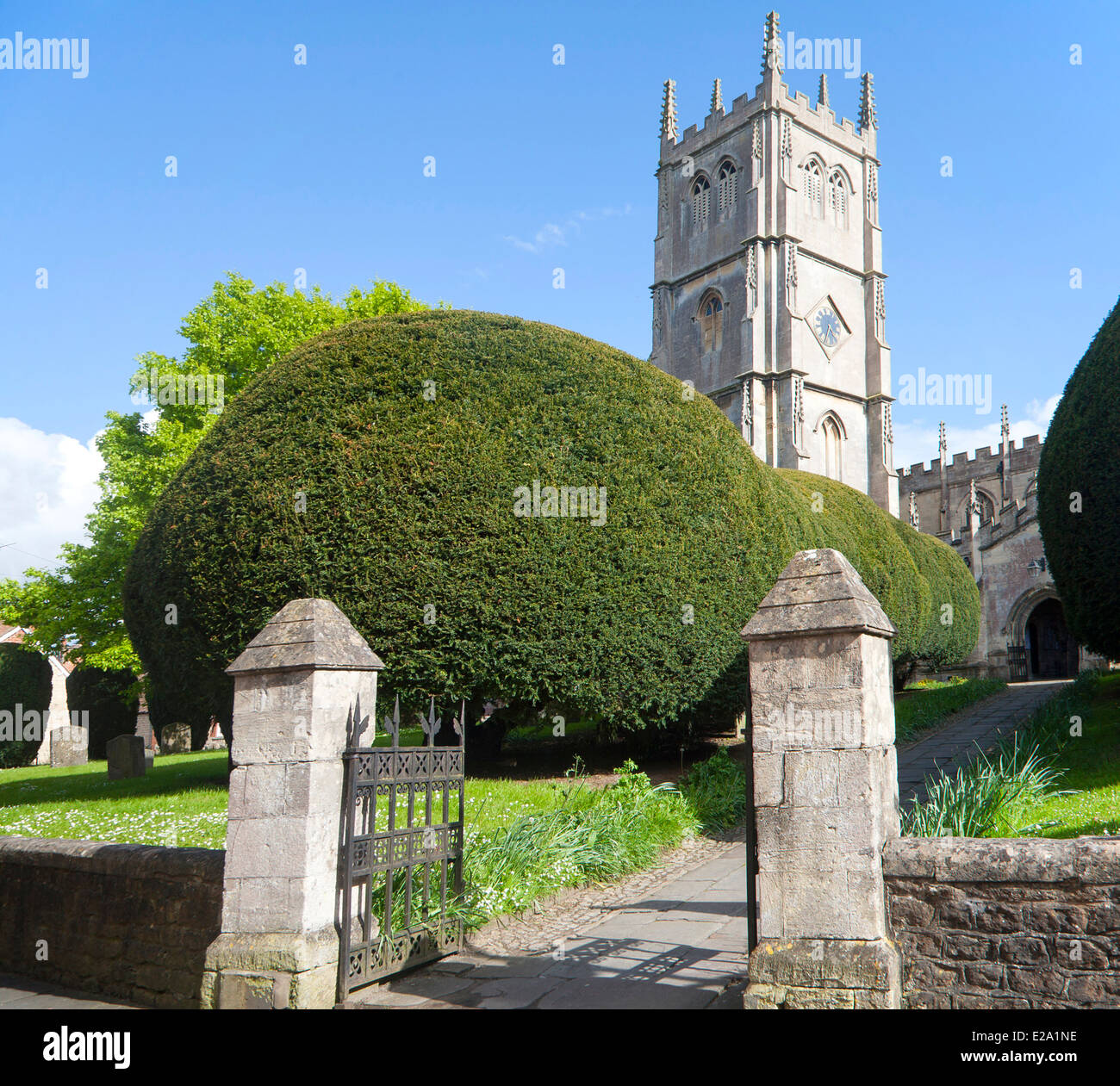 La Iglesia de Santa María Virgen Calne, Wiltshire, Inglaterra Foto de stock