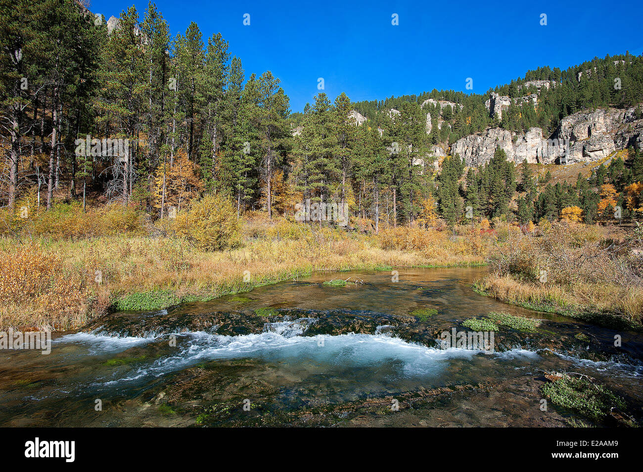 Estados Unidos, South Dakota, Black Hills, Spearfish Canyon Foto de stock
