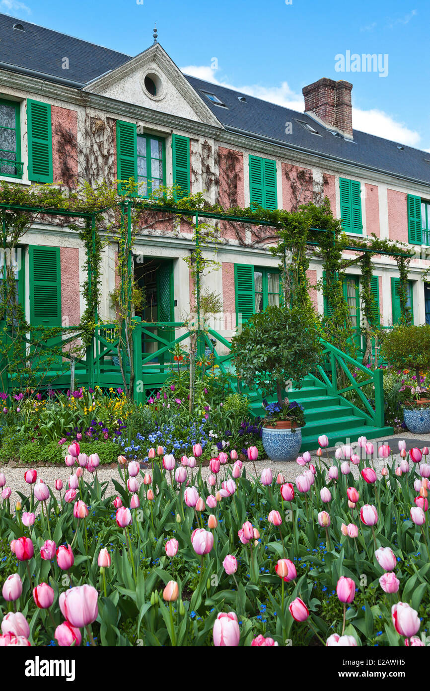 Francia, Eure, Giverny, Fundación Claude Monet, los jardines de la casa de  Monet, tulipanes en primer plano Fotografía de stock - Alamy