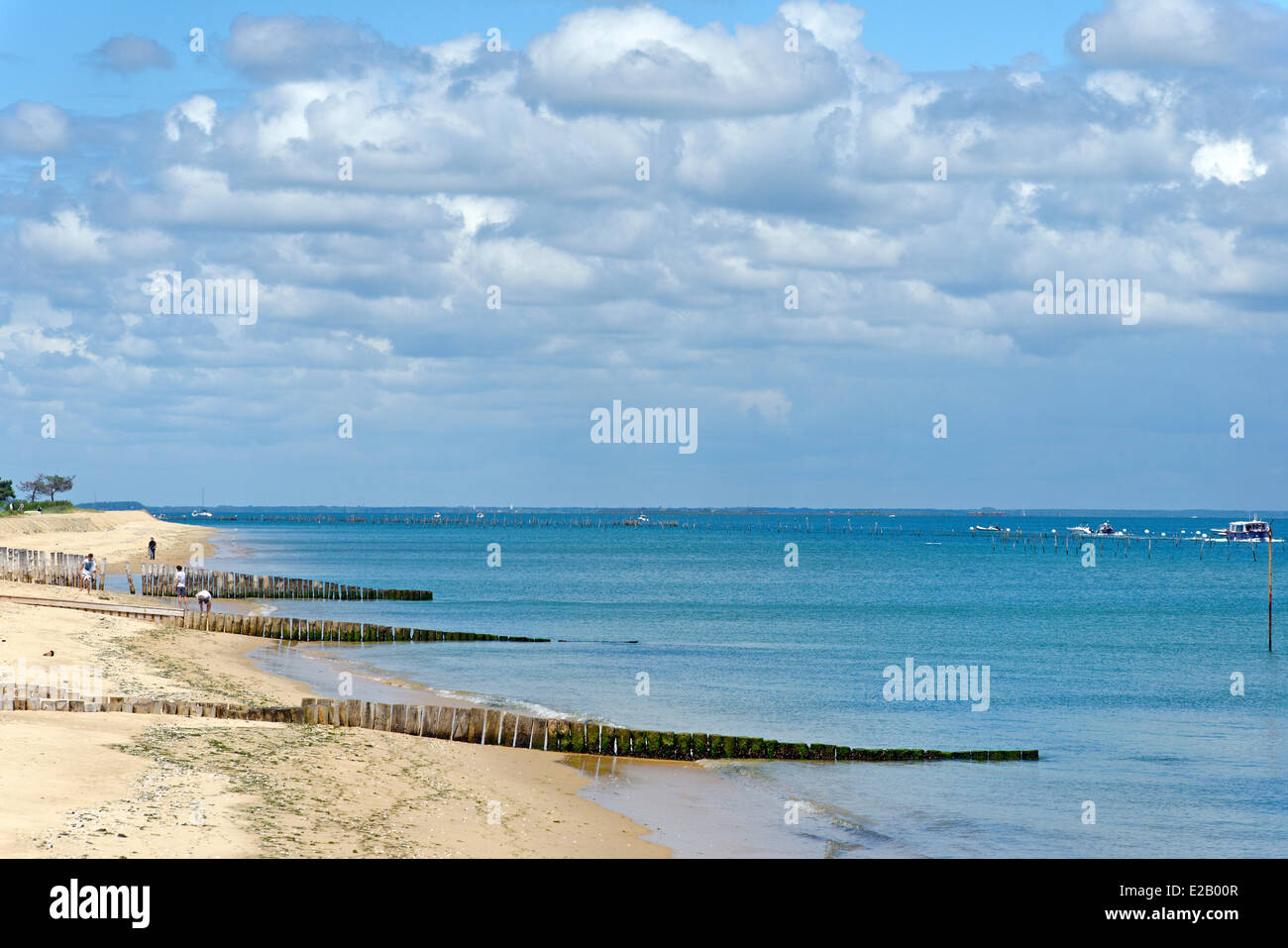 Francia, bahía de Arcachon, Gironde, Cap Ferret, rompeolas de varas de madera Foto de stock