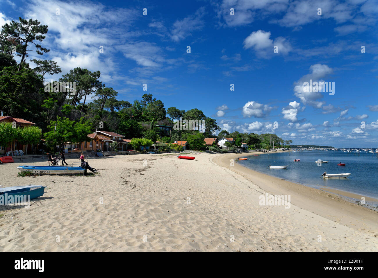 Francia, bahía de Arcachon, Gironde, L'Herbe, cala al pie de las casas y los árboles de pino con vistas a una playa Foto de stock