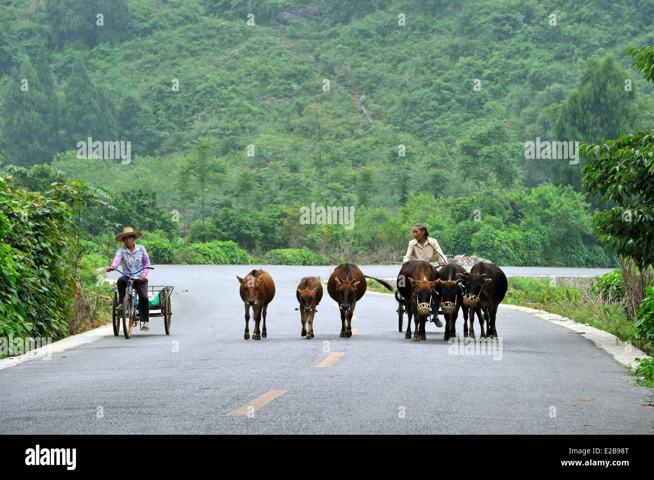 China, la provincia de Guangxi, Guilin Región, cerca de Yangshuo Foto de stock