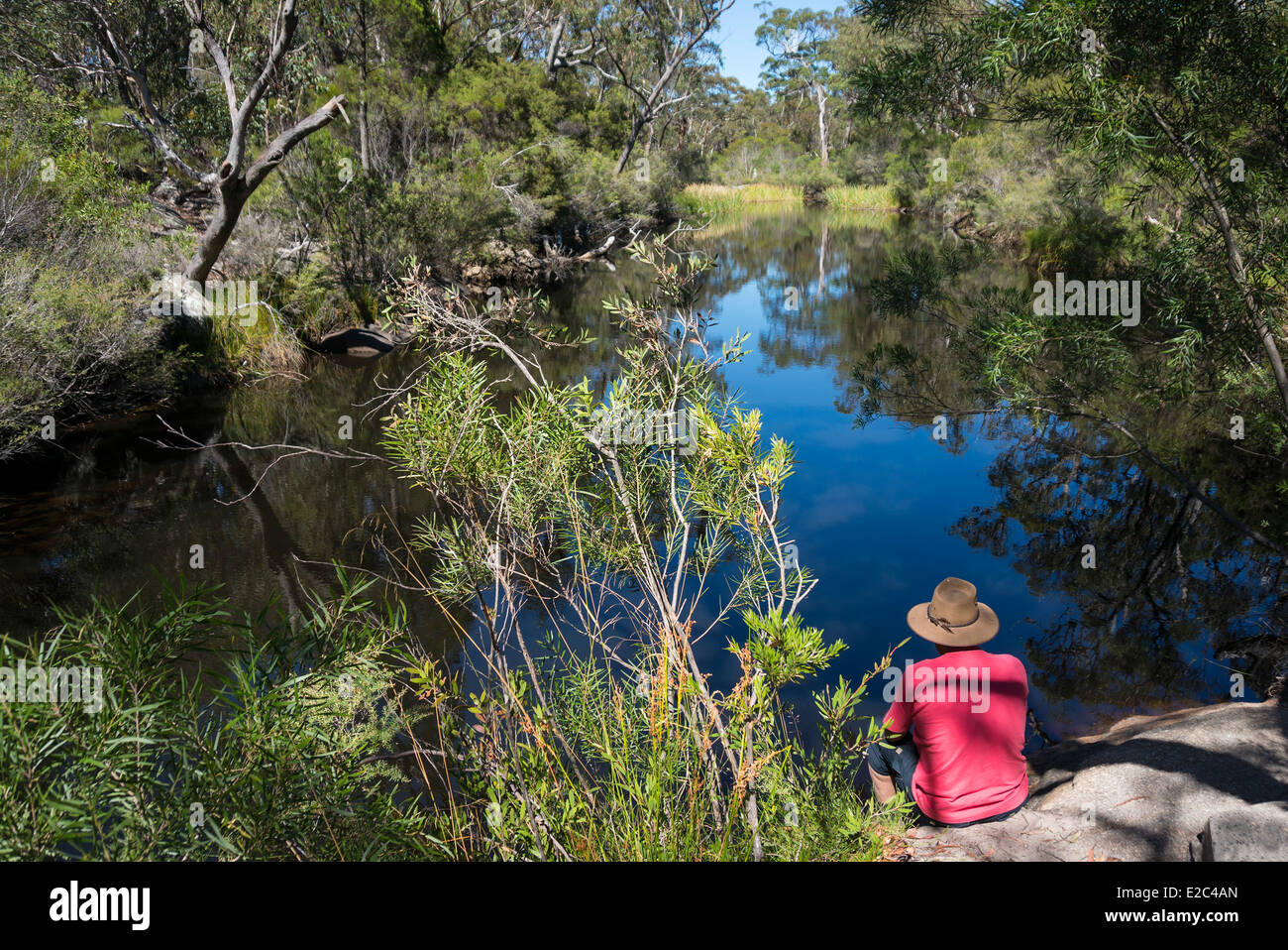 Hombre sentado a la orilla de un lago en el bosque australiano Foto de stock