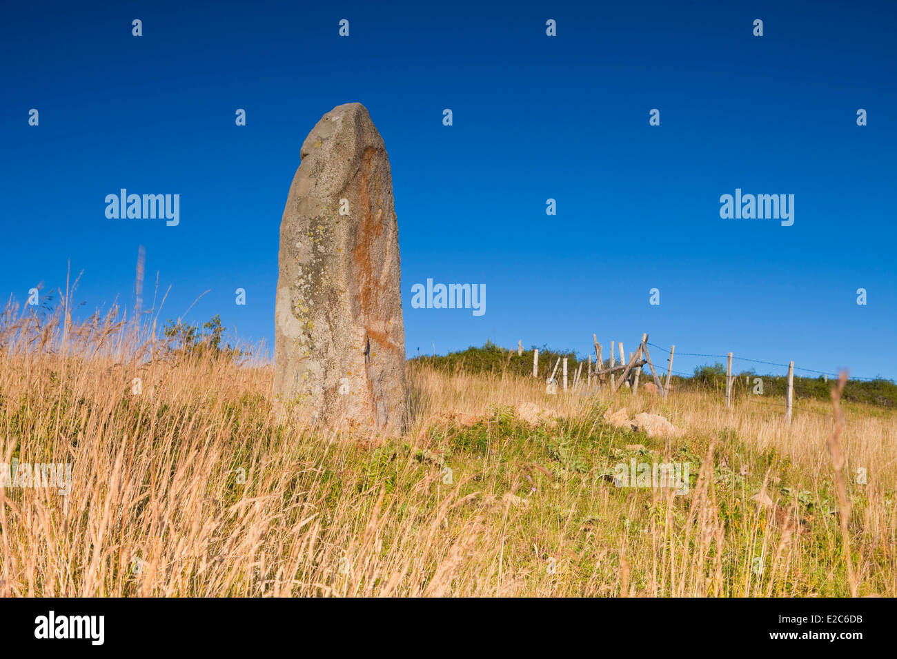 Francia, la Lozere, los Causses y los Cévennes, Cham Bondons, meseta de piedra caliza, Trail menhires Foto de stock