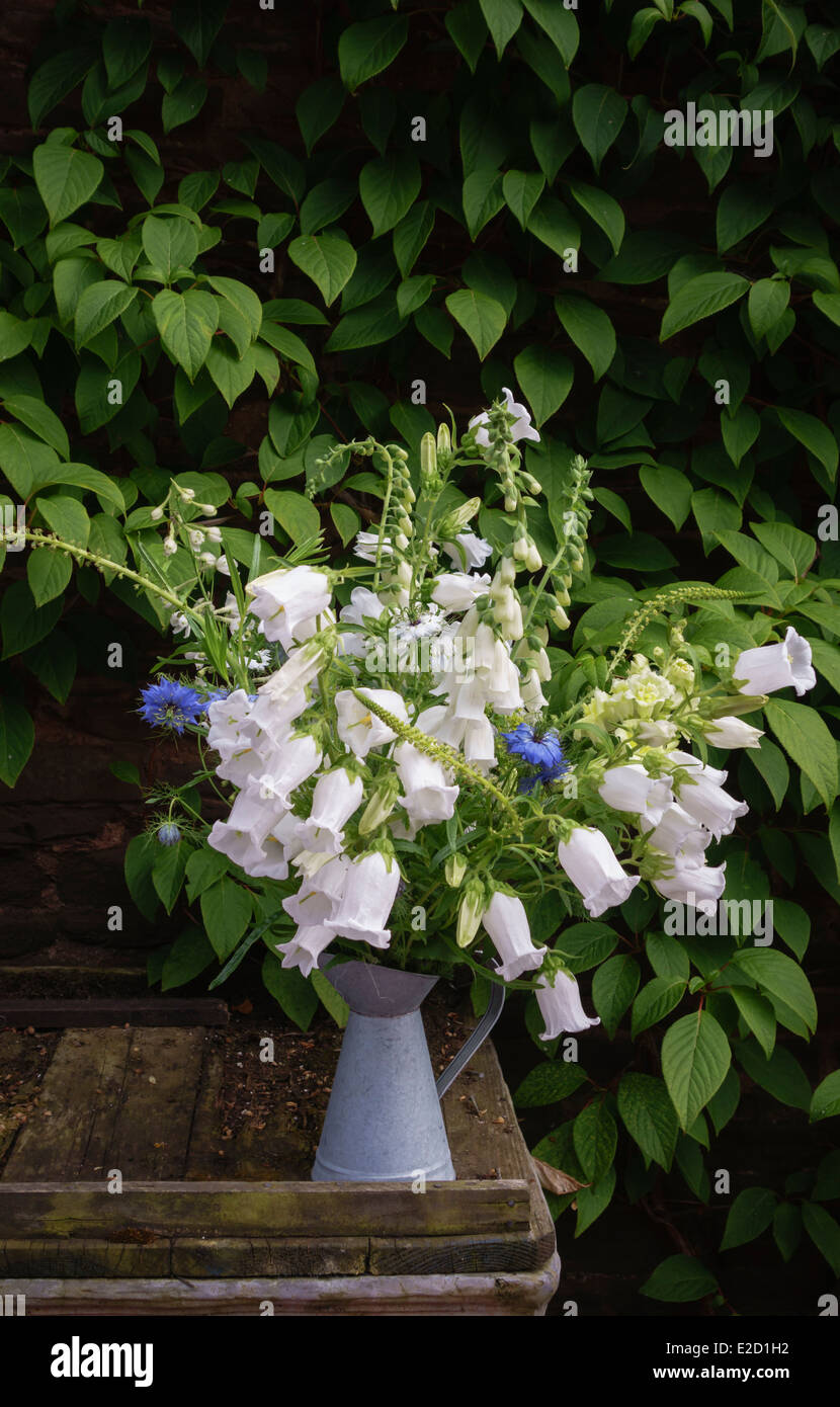 Un simple arreglo de flores del jardín, mayormente blanca campanula Foto de stock