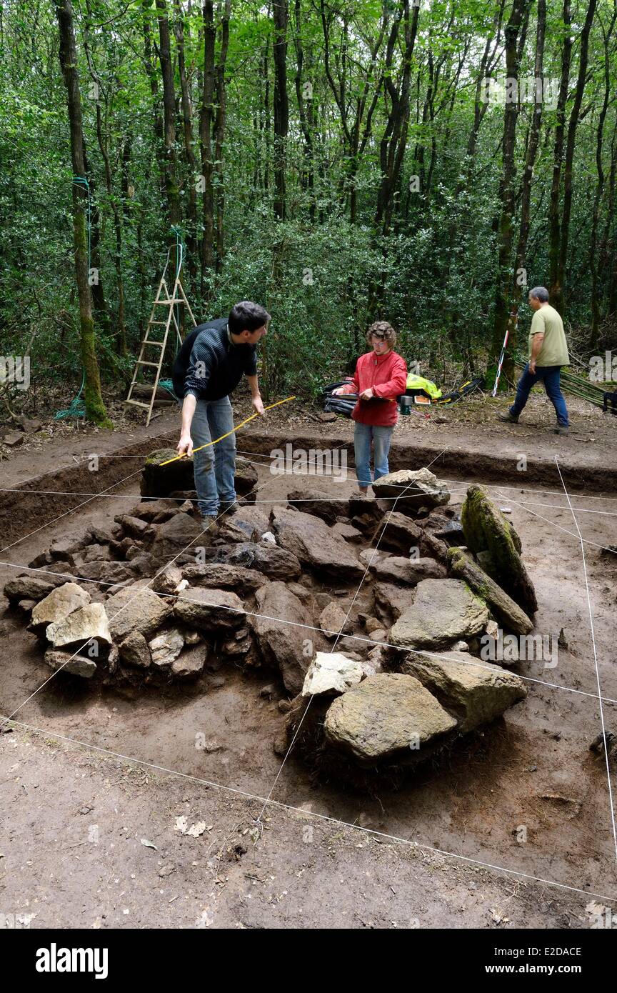 Francia, Morbihan, Coeby Tredion, bosque, las excavaciones en el sitio megalítico descubierto por el arqueólogo Philippe Gouezin Foto de stock