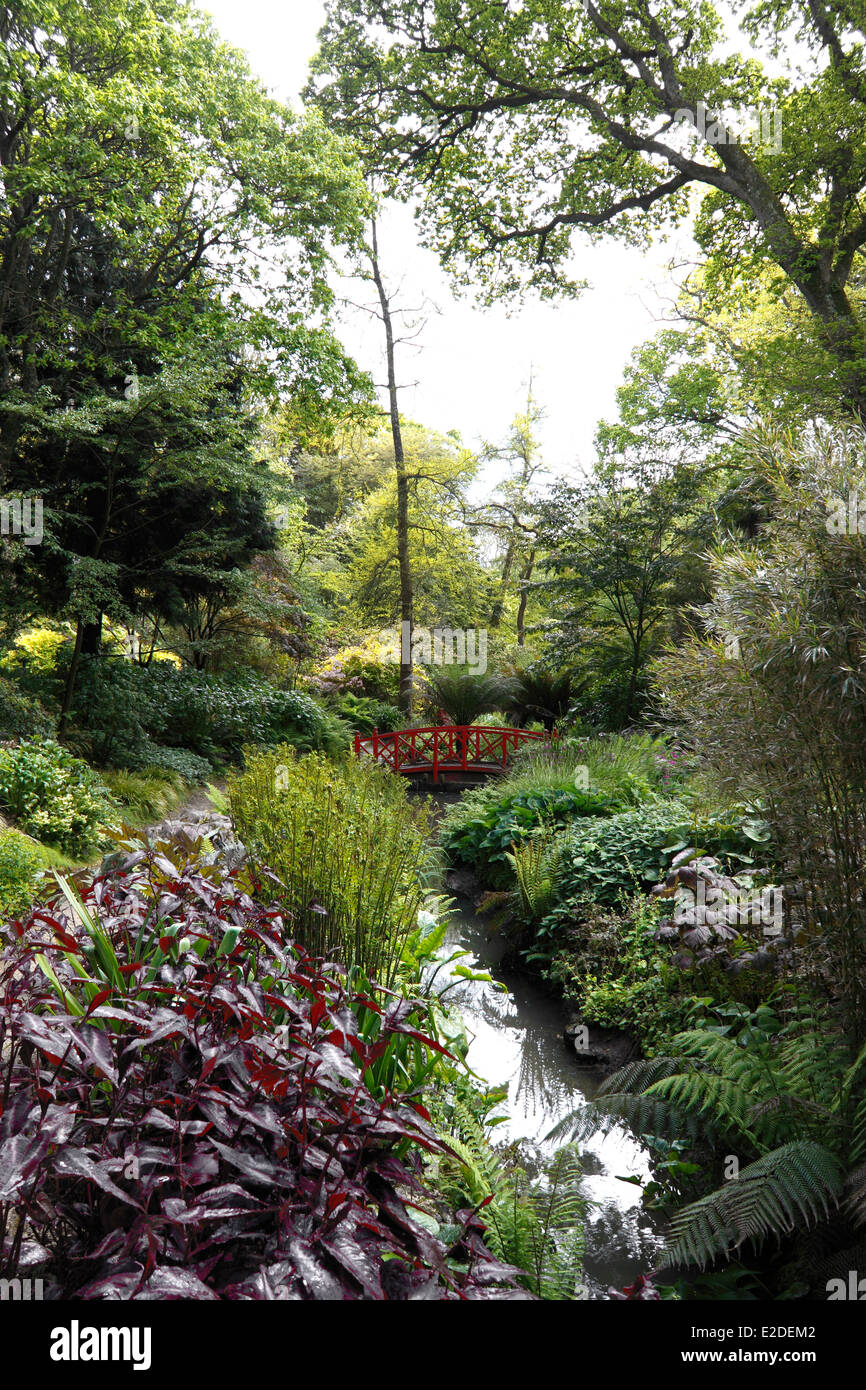 Un arroyo en Abbotsbury jardines subtropicales. DORSET, Reino Unido. Foto de stock