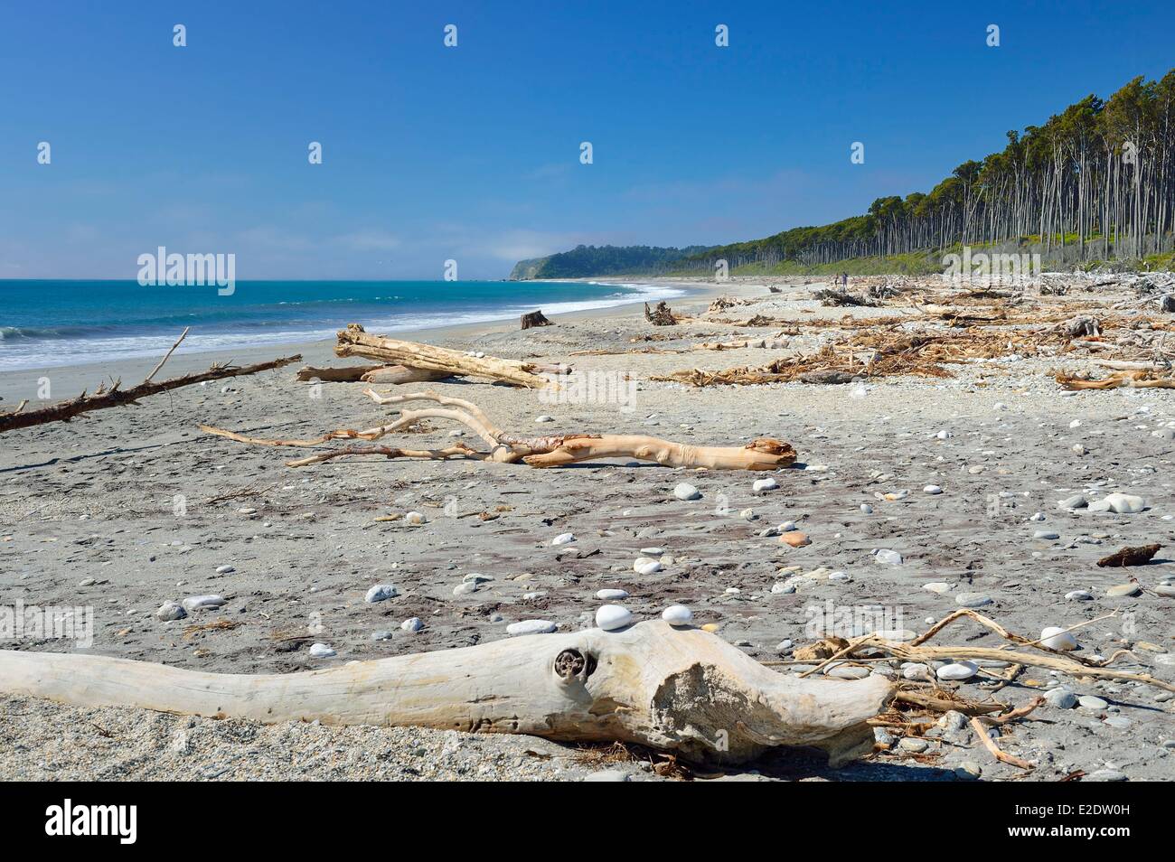 Nueva Zelanda, Isla del Sur, región de la costa oeste de la Bahía de Bruce en el Mar de Tasmania Foto de stock