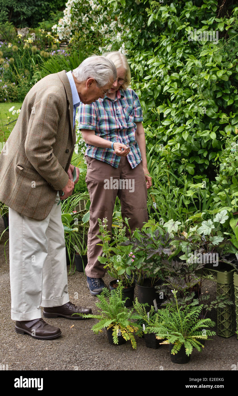 Un cliente en un país justo de planta (Stockton enterrar a jardines, Leominster, Herefordshire, UK) Foto de stock