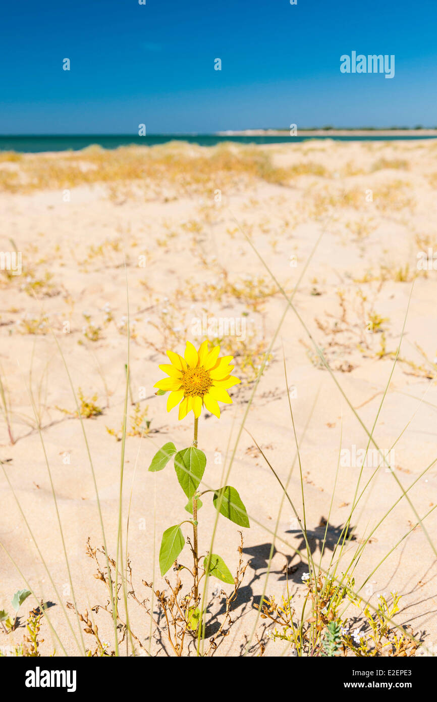 Casse de la belle henriette reserva natural nacional fotografías e