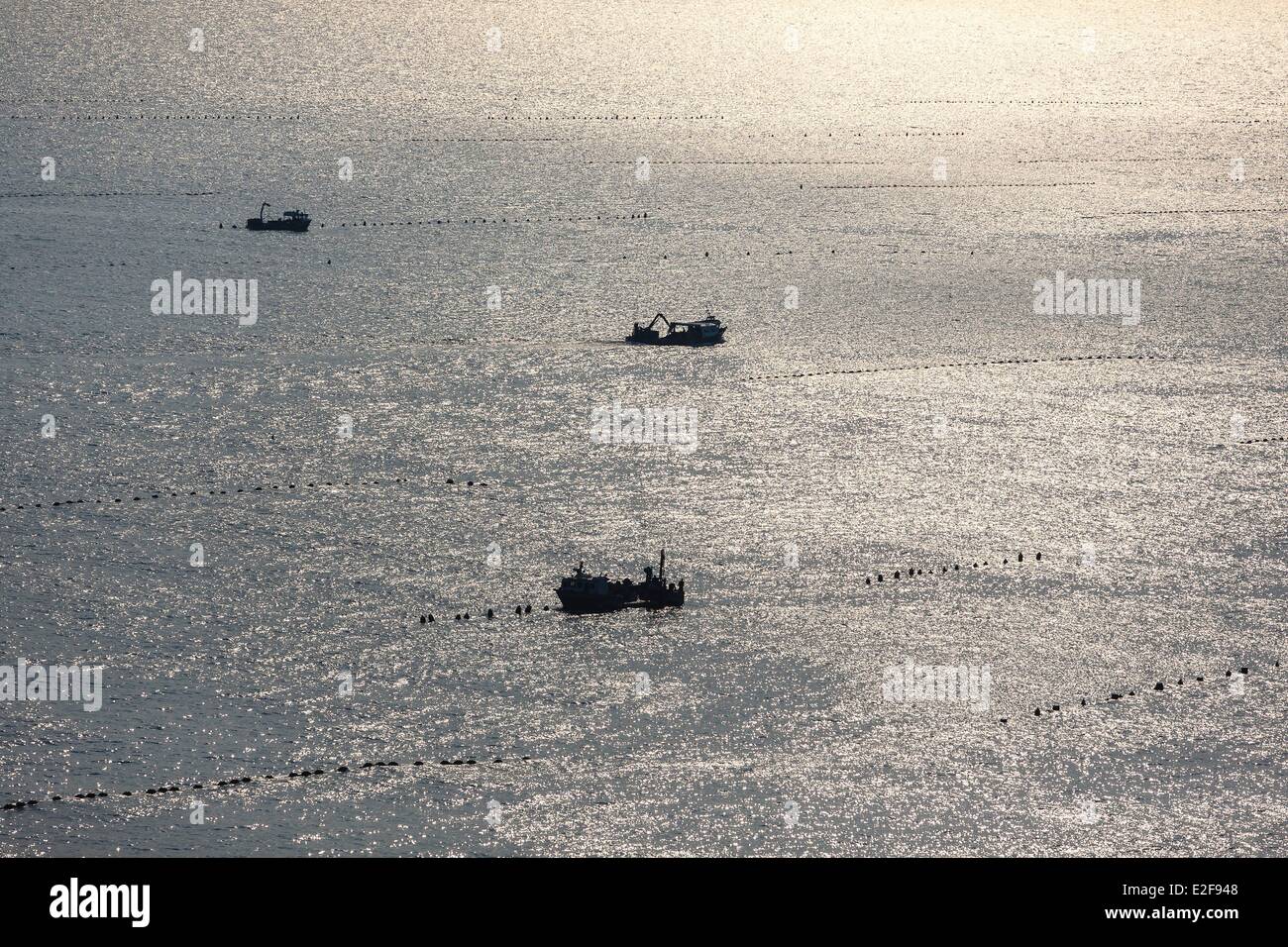 Francia, Vendée, La Faute-sur-Mer, mejillon granja barcos en las cuerdas de terreno (vista aérea) Foto de stock