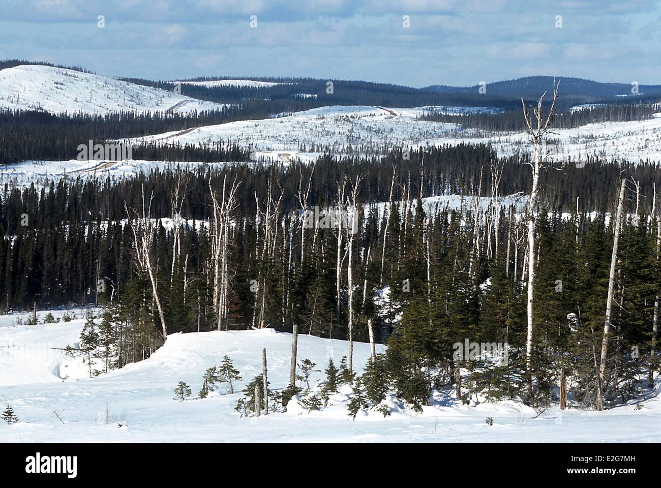 San ludger de milot fotografías e imágenes de alta resolución Alamy