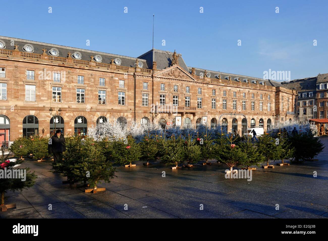 Francia Bas Rhin Estrasburgo casco antiguo catalogado como Patrimonio de la Humanidad por la UNESCO la Navidad en la Place Kléber venta de abetos Foto de stock