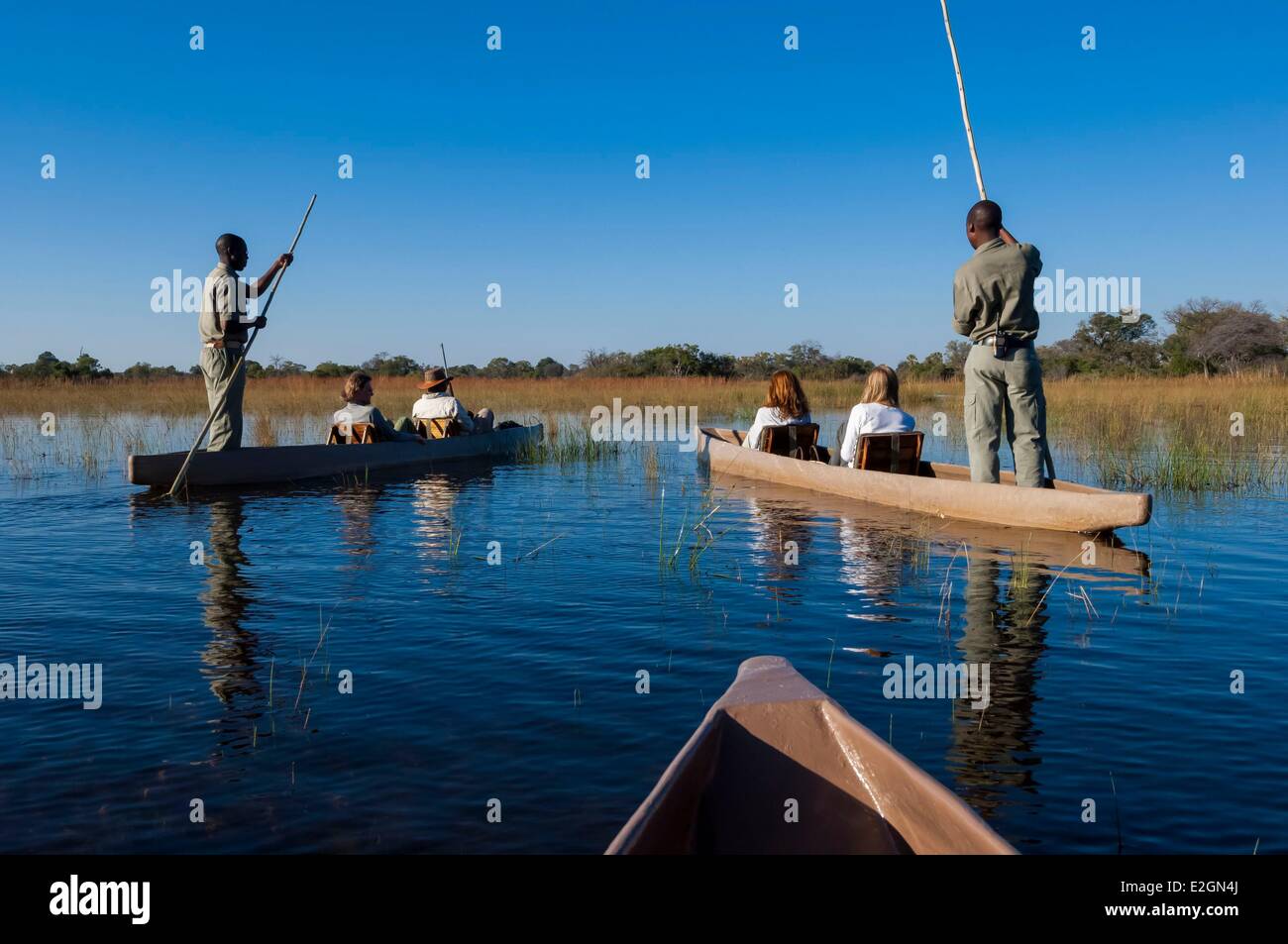 Distrito noroeste de Botswana Delta del Okavango Abu Lodge safari Foto de stock