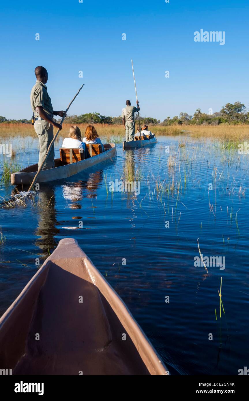 Distrito noroeste de Botswana Delta del Okavango Abu Lodge safari Foto de stock