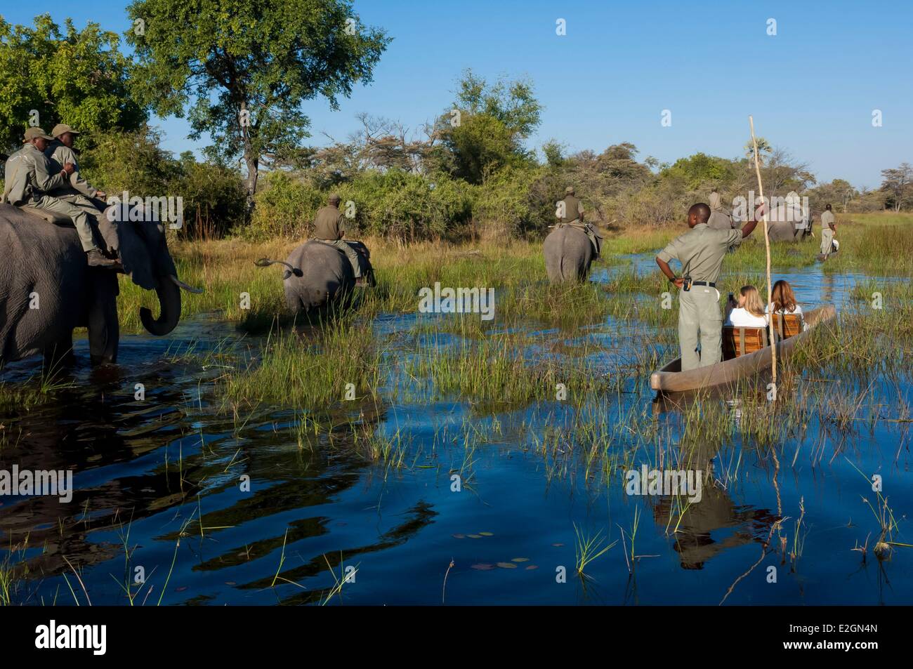 Distrito noroeste de Botswana Delta del Okavango Abu Lodge safari en lomo de elefante y por canoa Foto de stock