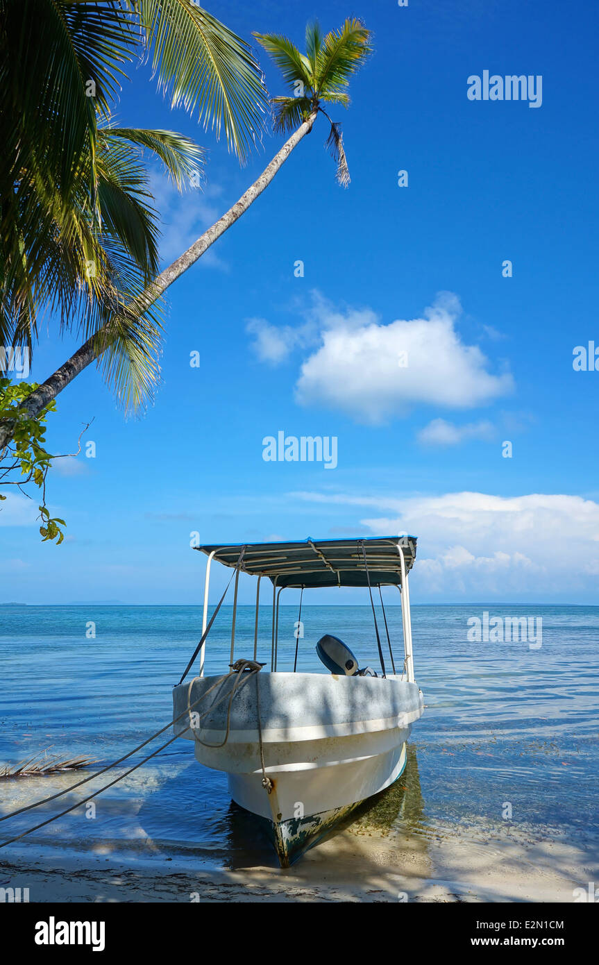 Barco desembarcó en la orilla de una playa tropical con palmeras Foto de stock