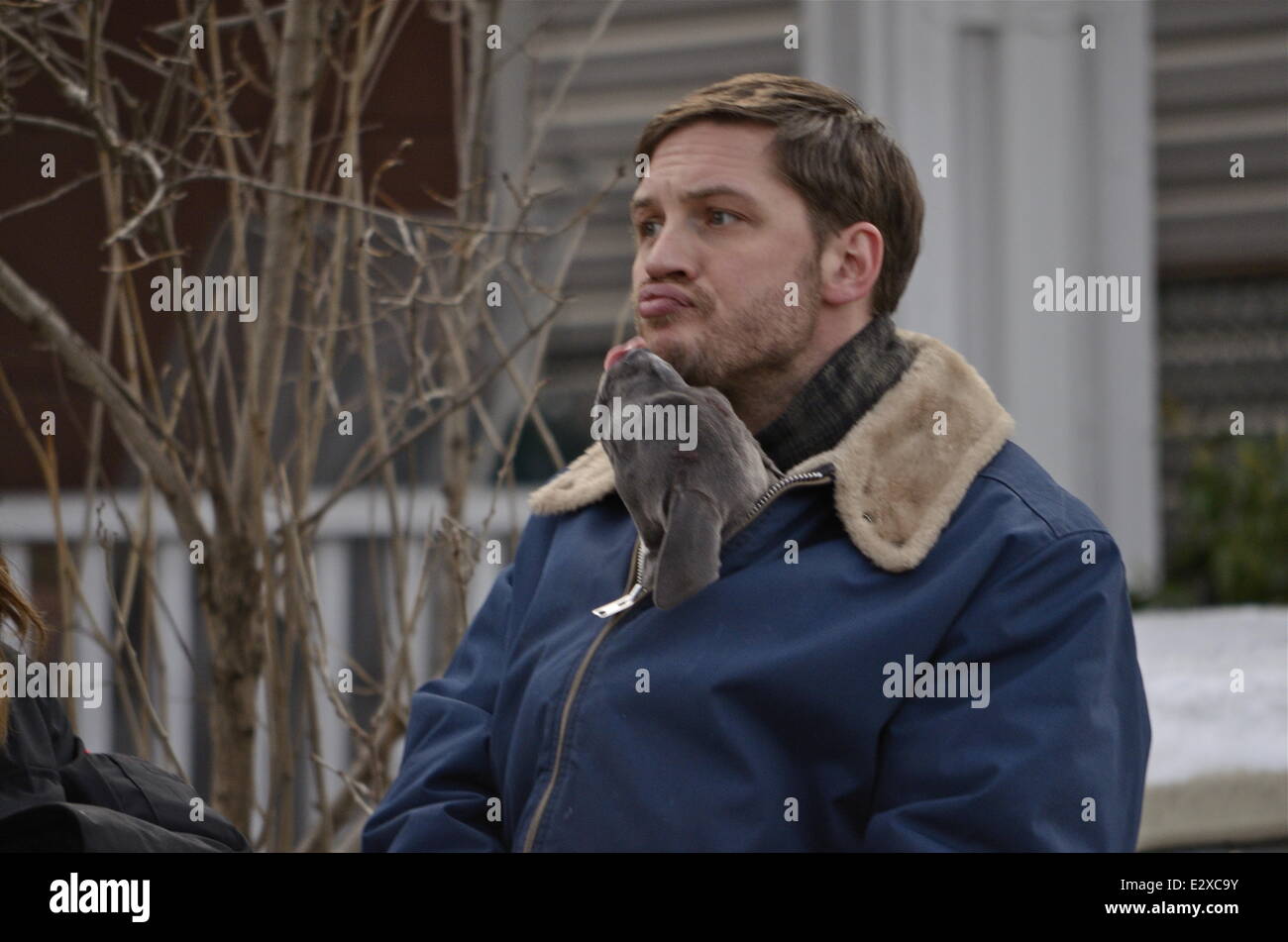 Tom Hardy con un adorable cachorro de su chaqueta, mientras que en el  conjunto de rescate de animales con: Tom Hardy donde: Nueva York, NY,  Estados Unidos Cuándo: 21 Mar 2013 Fotografía