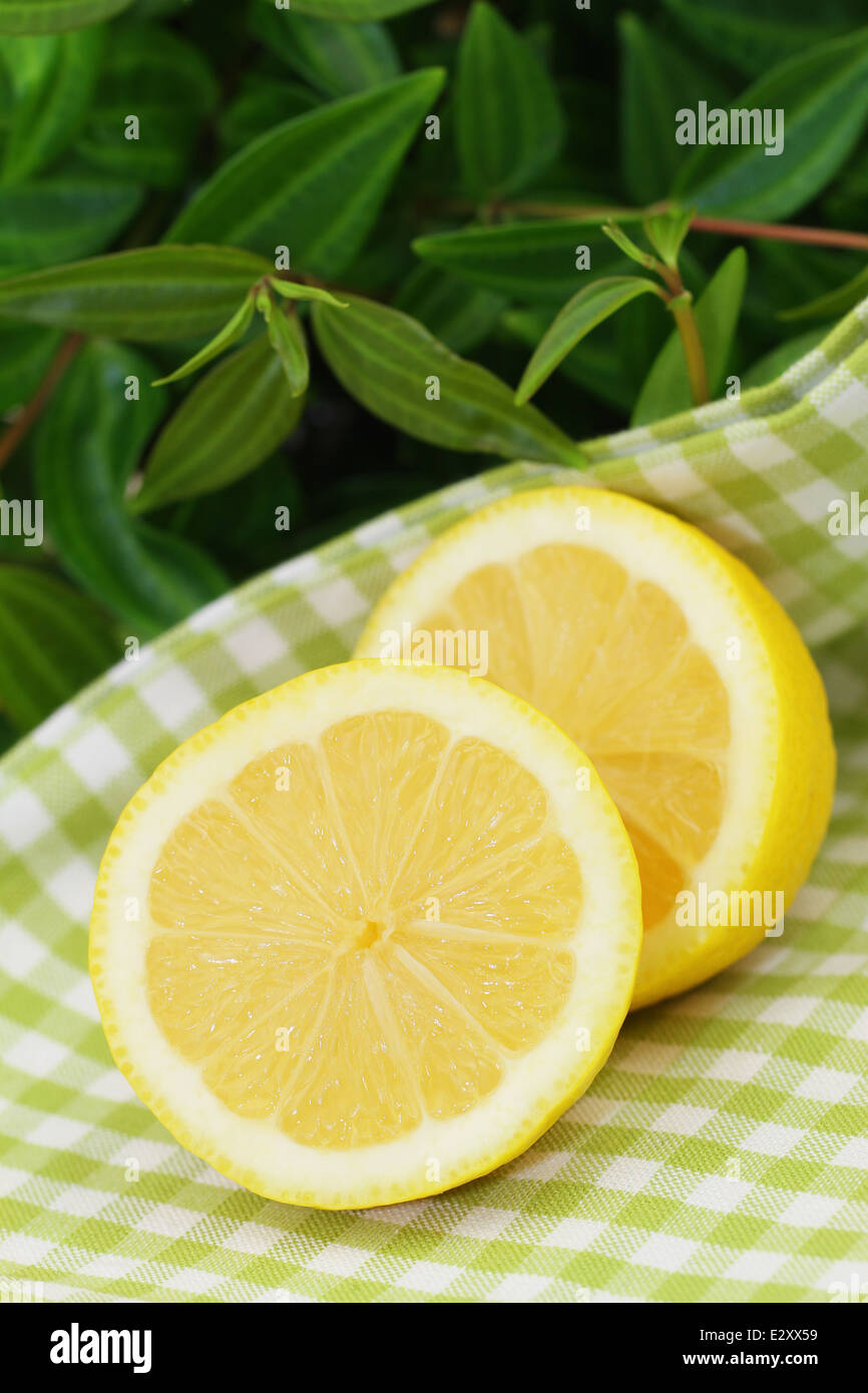 Mitades de limón sobre tela cuadriculada Foto de stock