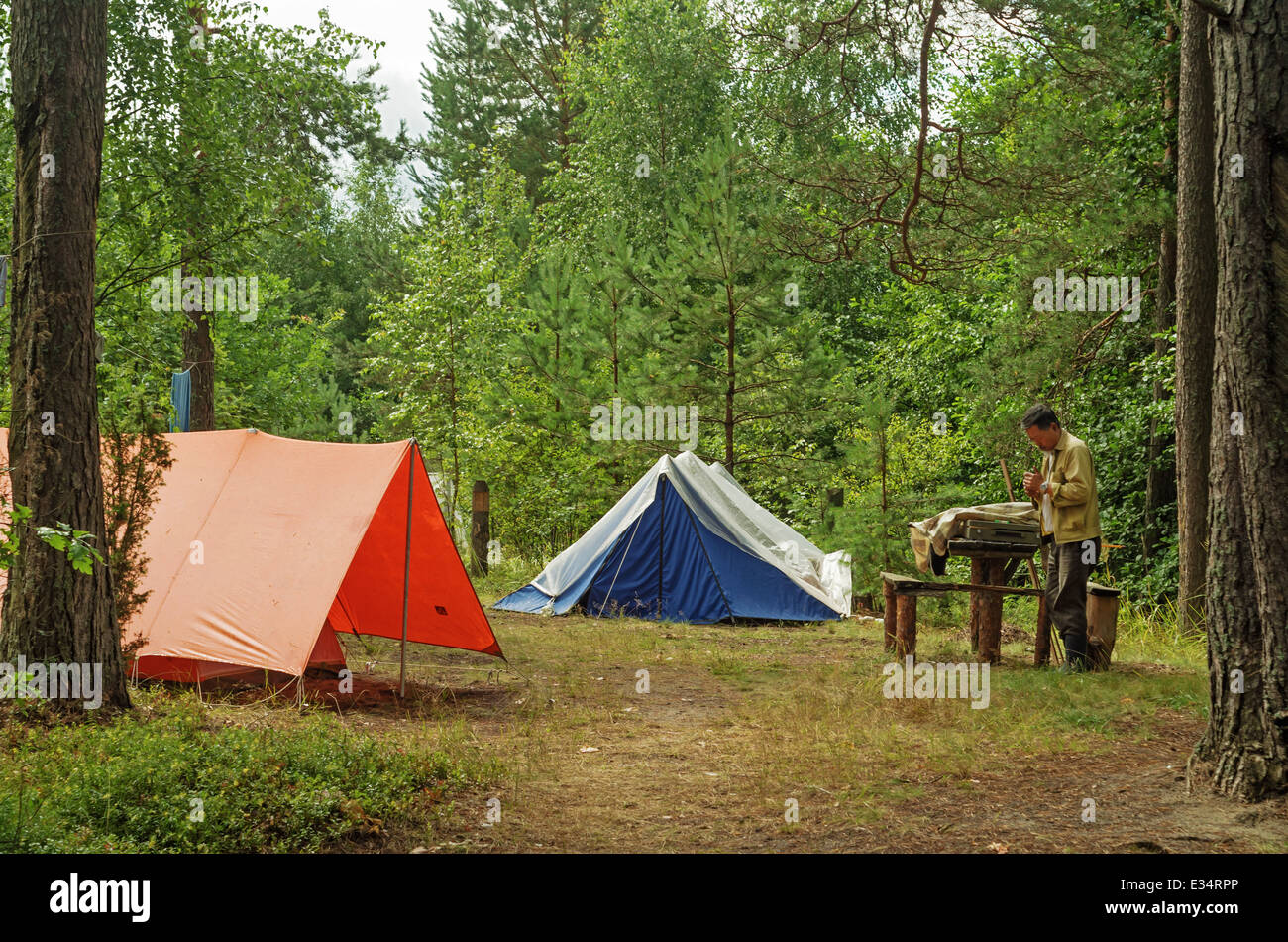 Camping turistico carpas en el bosque Fotografía de stock - Alamy