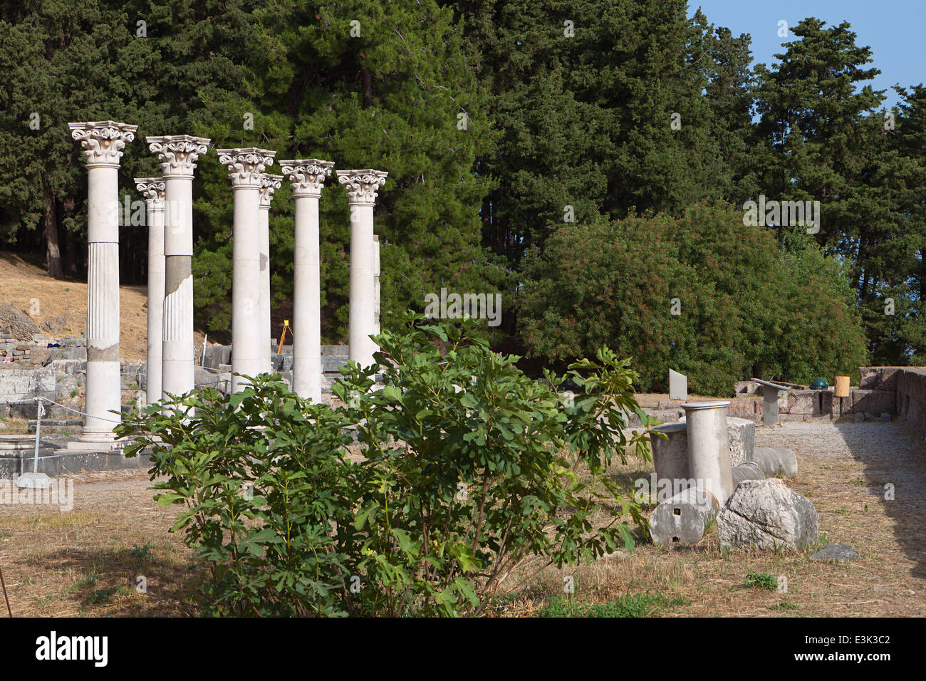 Antiguo sitio de Asclepeion en la isla de Kos en Grecia Foto de stock