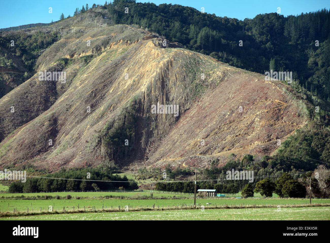 Ladera marcada por la actividad forestal, entre Picton y Blenheim, Marlborough, Nueva Zelanda Foto de stock