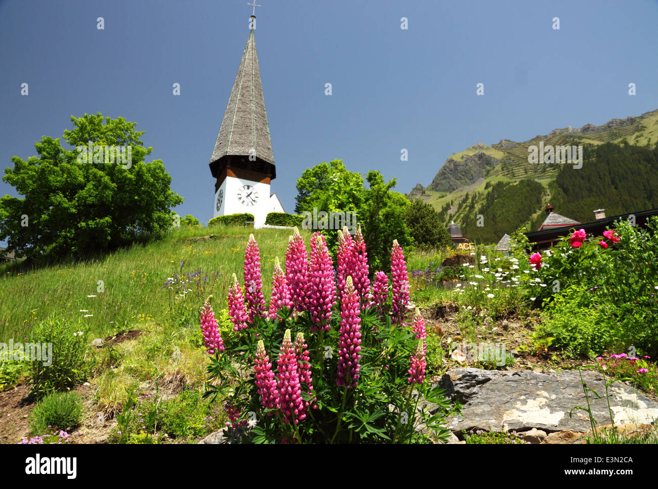 Un blanco alpino un reloj y una iglesia con una torre alta y flores. Foto de stock