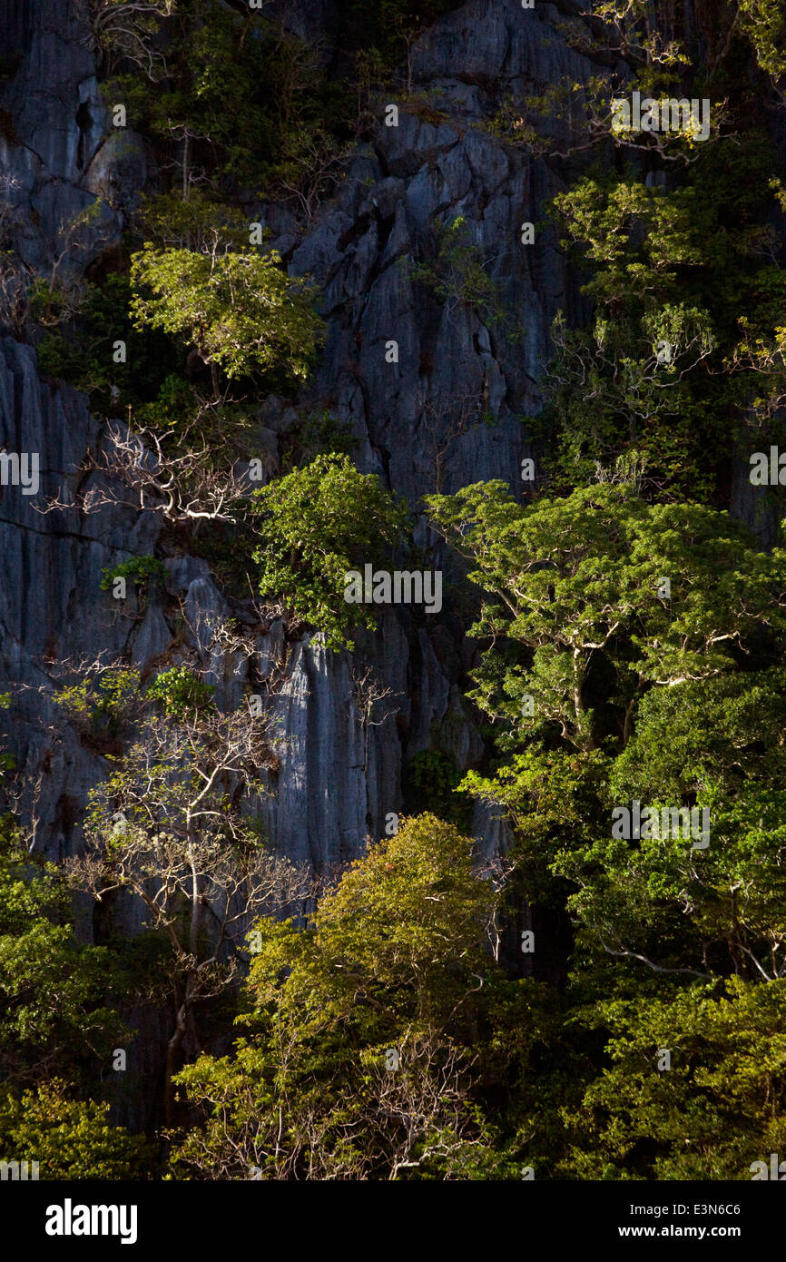 Acantilados de piedra caliza y el bosque en una pequeña isla cerca de la isla de BUSUANGA EN EL GRUPO CALAMIAN - Filipinas Foto de stock