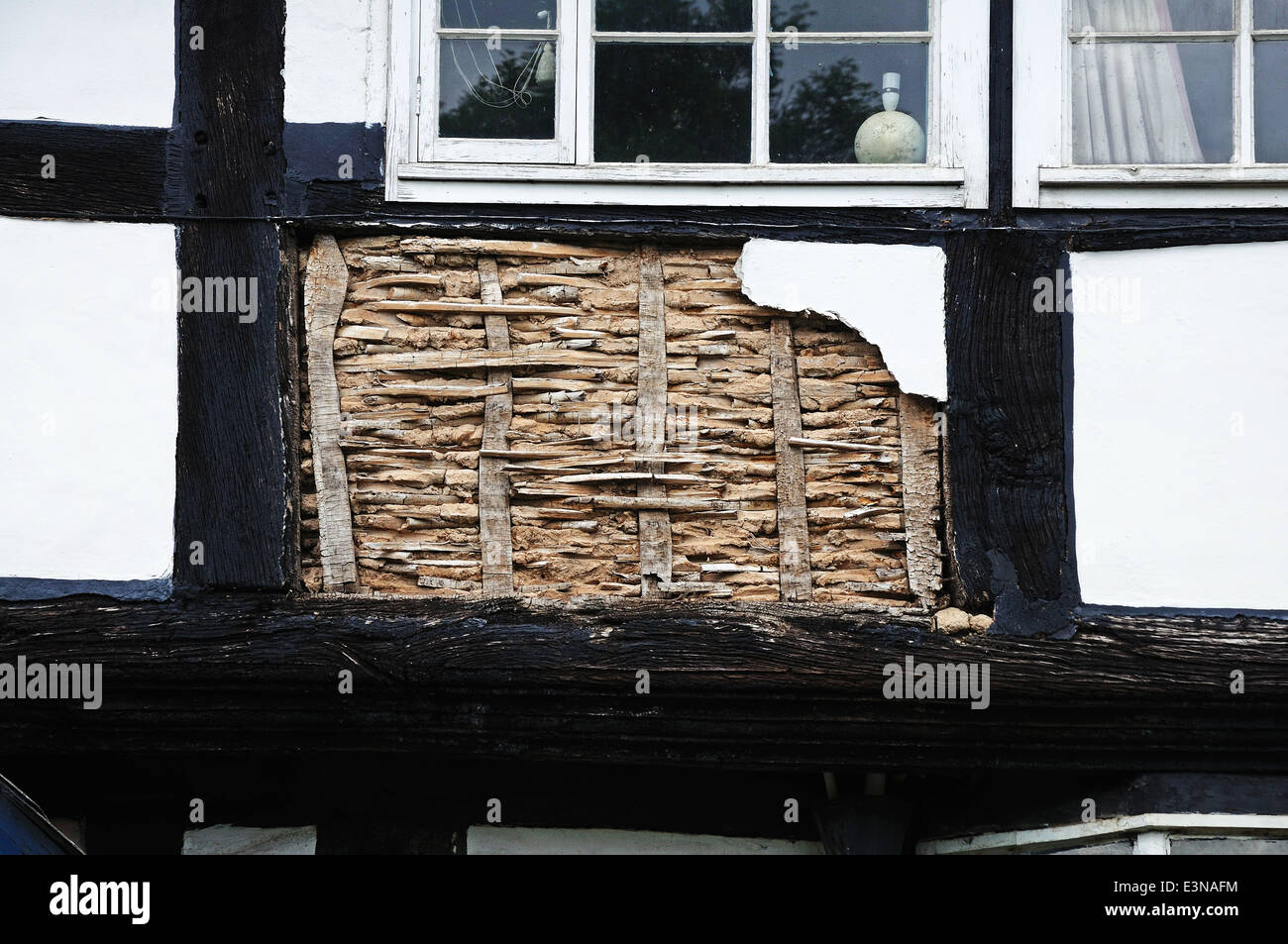 El panel pequeño de acacia y barro que está siendo restaurado en un tradicional edificio de madera blanca, Pembridge, Inglaterra, Reino Unido. Foto de stock
