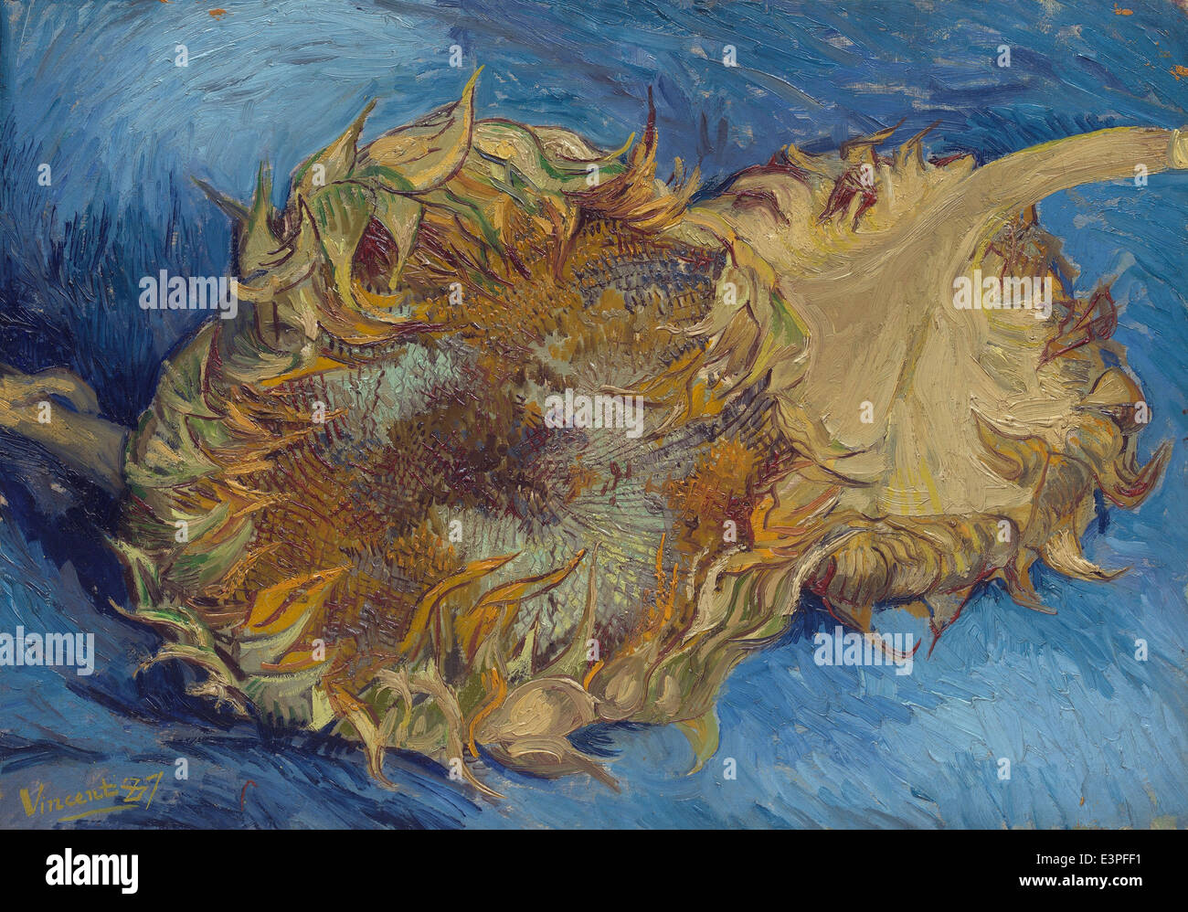Vincent van Gogh - Girasoles - 1887 - se reunieron Museum - New-York Foto de stock