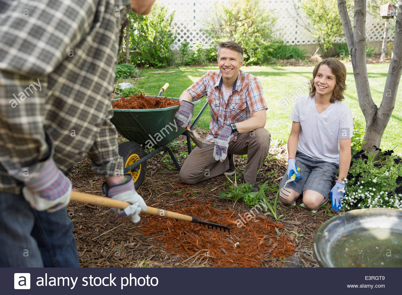 Familia de múltiples generaciones extendiendo la corteza en polvo backyard Foto de stock