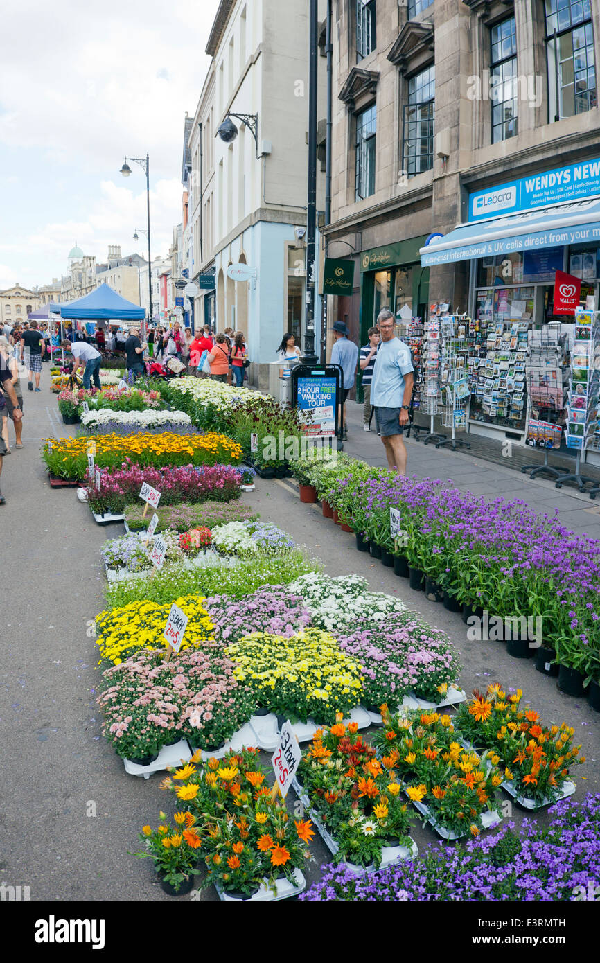 Una colorida planta al aire libre venta en Broad Street, Oxford, Inglaterra, Reino Unido. Foto de stock