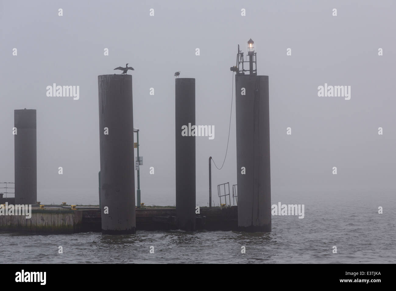 Muelle de embarque en el puerto de Hamburgo con niebla, Alemania Foto de stock