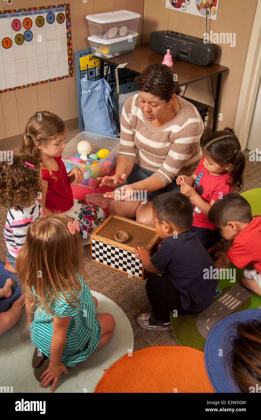 Un maestro hispano muestra nidos de pájaros a los niños pequeños a un 'enlace' de aprendizaje en aula Tustin, CA, mientras que la realización de un taller Foto de stock