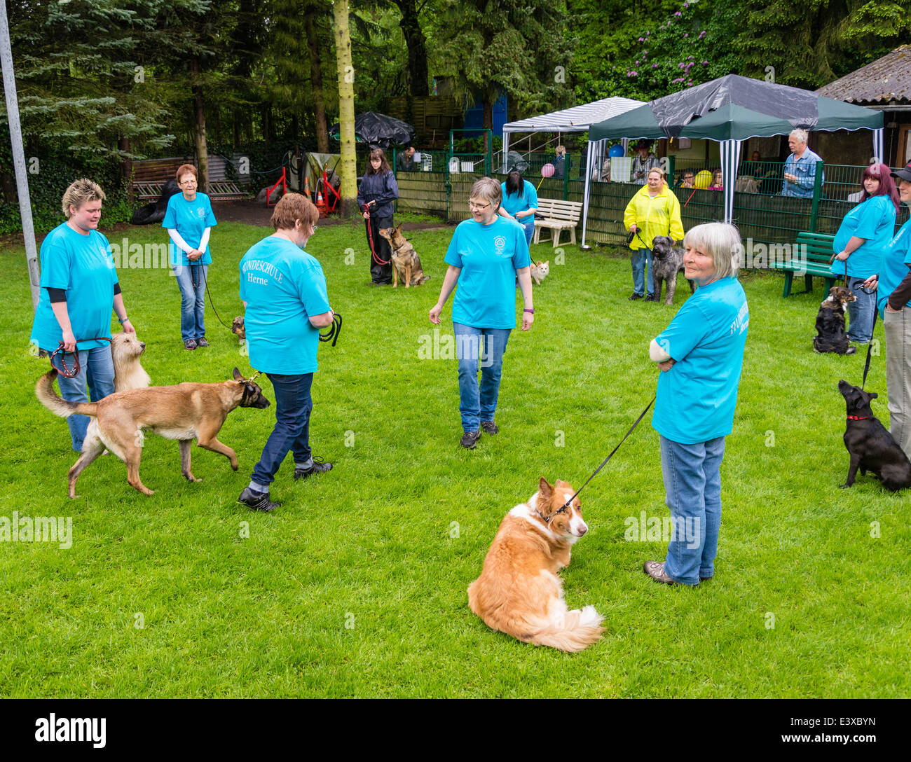 Un adiestrador de perros (en el centro) aconseja a los propietarios de perros cómo tratar a sus mascotas en una escuela de la obediencia del perro . Foto de stock