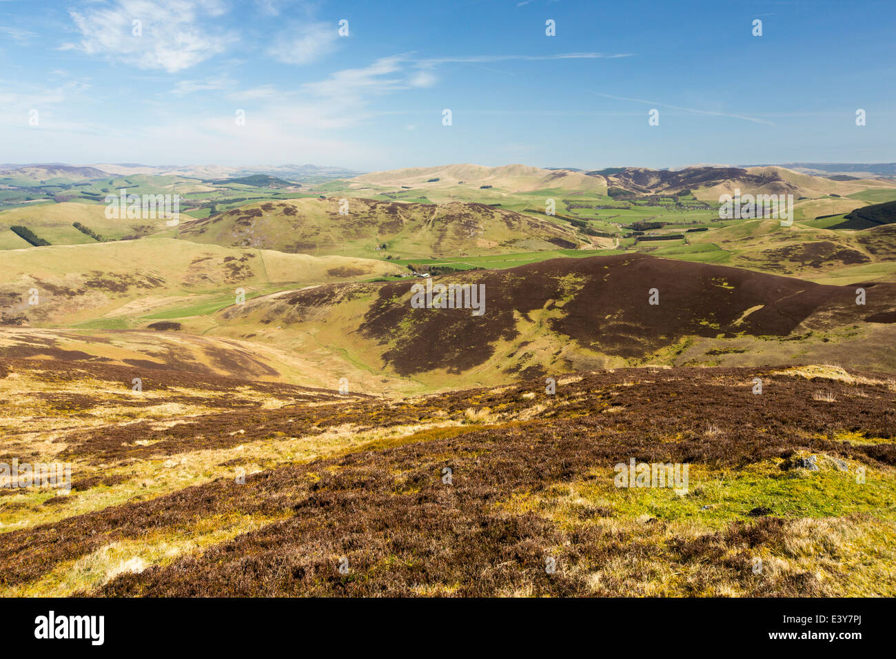 Una colina por encima de Biggar en las tierras altas meridionales de Escocia, Reino Unido. Estas colinas páramos cubiertos de turba son un importante sumidero de carbono. Foto de stock