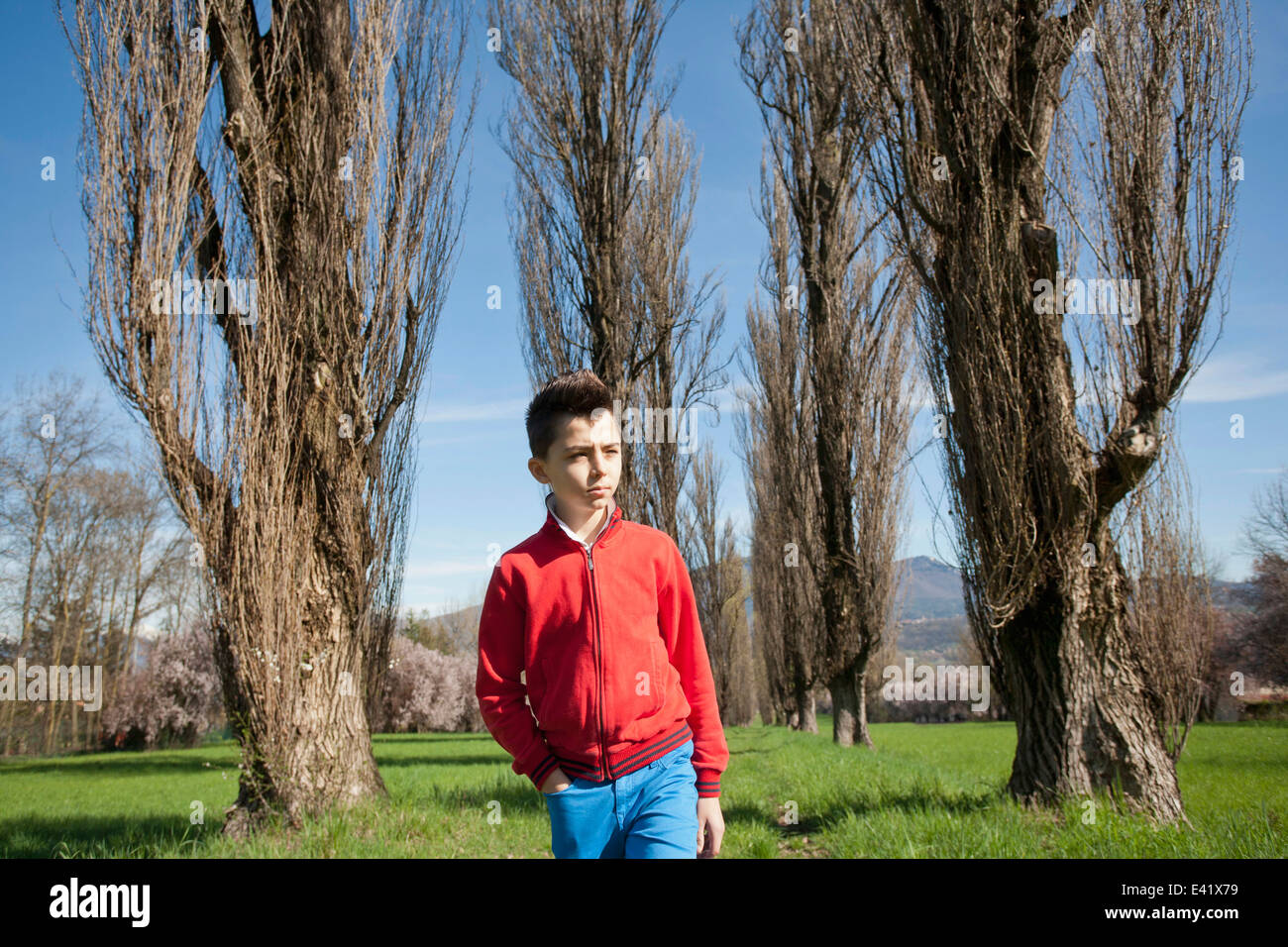Muchacho de doce años paseando por campo arbolada. Foto de stock