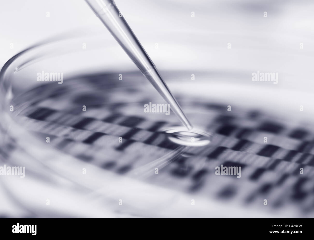 El ADN (ácido desoxirribonucleico) en una placa de Petri autoradiogram Foto de stock