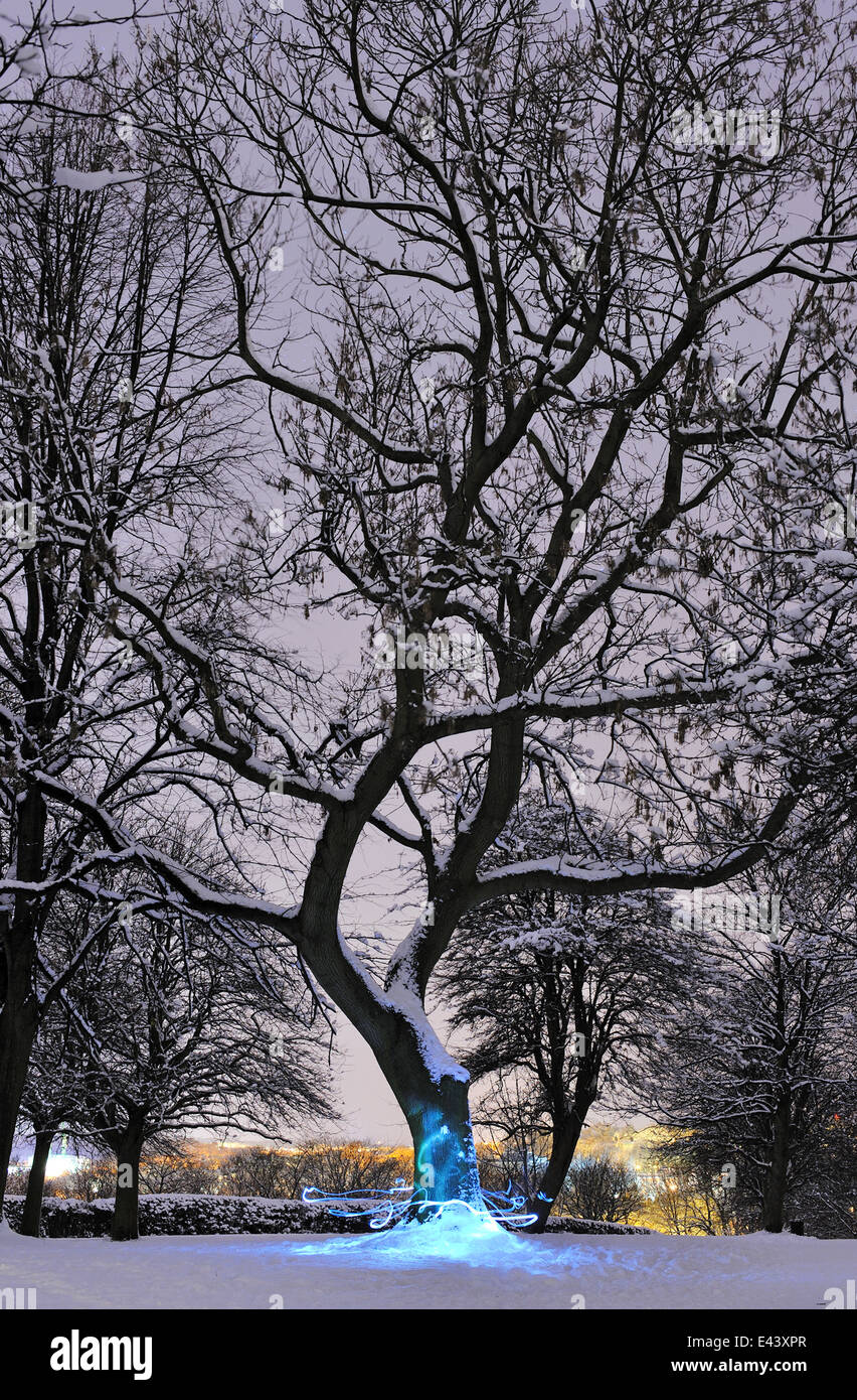 Winter wonderland en Hyde Park, Leeds Foto de stock
